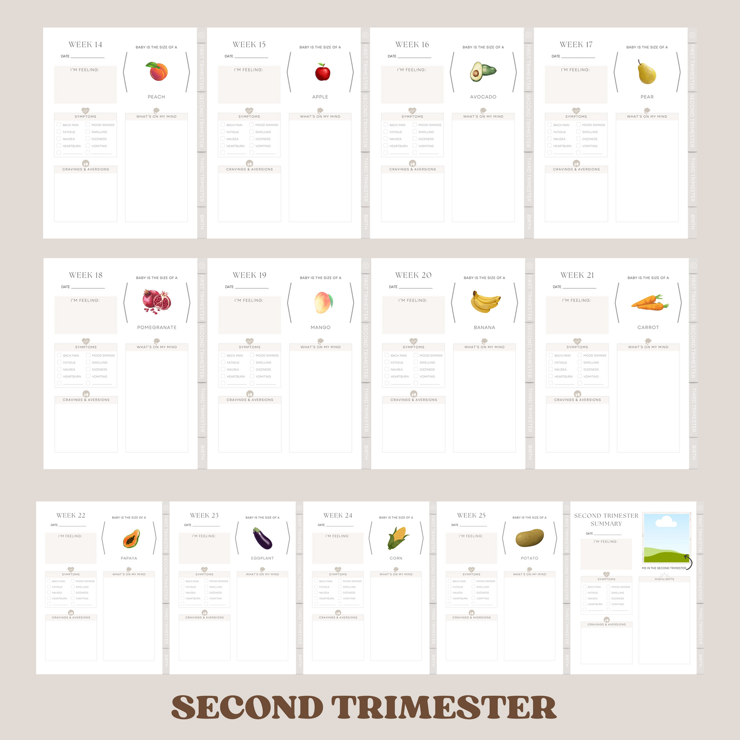 Digital Pregnancy Journal with Digital Pregnancy Stickers GoodNotes
