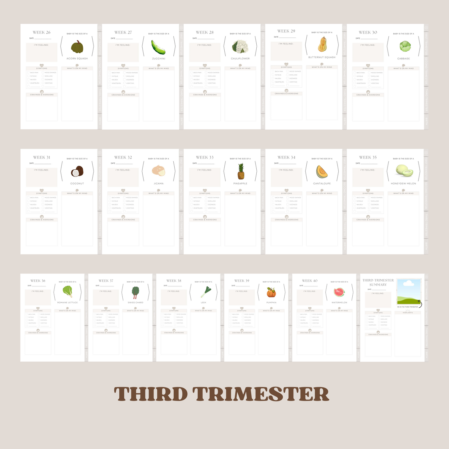 Digital Pregnancy Journal with Digital Pregnancy Stickers GoodNotes