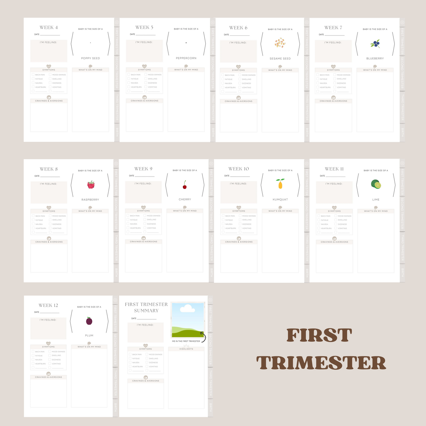 Digital Pregnancy Journal with Digital Pregnancy Stickers GoodNotes